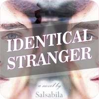 Novel Identical Stranger