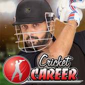 Cricket Career