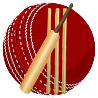 Cricket Language &Terminology
