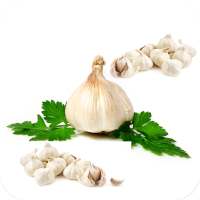 Health Benefits Of Garlic on 9Apps