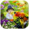 Love Birds Photo Frames HD