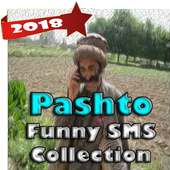 Pashto Jokes - Funny SMS
