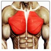 Best Chest Workout on 9Apps