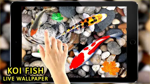 3D Koi Fish Wallpaper HD Fish Live Wallpapers Free APK Download 2023 - Free - 9Apps 3D Koi Fish Wallpaper HD Fish Live Wallpapers Free APK Download 2023 - Free - 9Apps