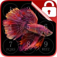 Betta Fish Lock Screen on 9Apps