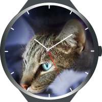 Cats Watch Faces