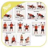 Dumbbell Workout on 9Apps