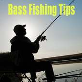 Bass Fishing Tips 2018