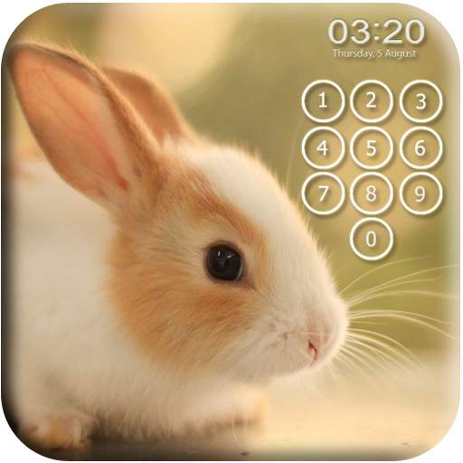 Bunny Pin Lock Screen