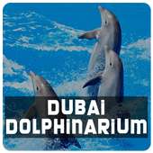 Dubai Dolphinarium on 9Apps