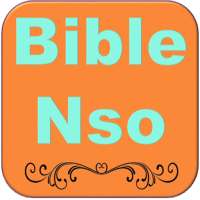 Bible Nso Igbo Bible