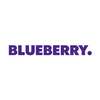 Blueberry Lifestyle