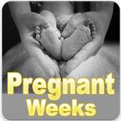 Pregnancy Week by Week