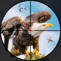 Bird Hunter: Jeux de Tir