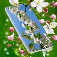 Cherry Blossom Live Wallpaper on 9Apps