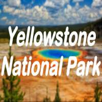 Yellowstone National Park on 9Apps