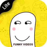 Free Zilli Funny video - snackly video status