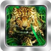 Jaguar Video Wallpaper