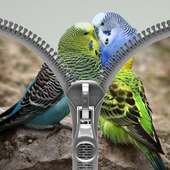 Bird Zipper Lock Screen