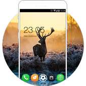 Nature Animal Theme: Life of Deer HD Wallpaper on 9Apps