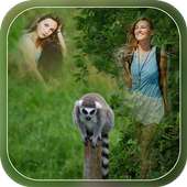 Transparent Wild Animal Photo Frame - Multi Photos on 9Apps
