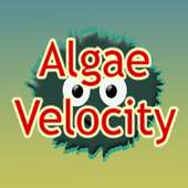 Algae Velocity