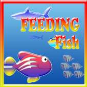 Feeding Frenzy Fish