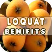 Loquat Benefits on 9Apps