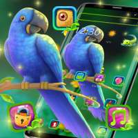 Cute Blue Parrot Theme