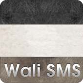Wali SMS Theme: Leather Feel on 9Apps