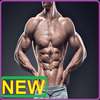 testosterone:bodybuilding tips