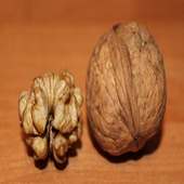 Walnuts For Health on 9Apps