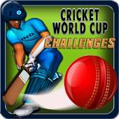 Cricket World Cup Challenges