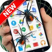 Spider On Screen - Funny Prank