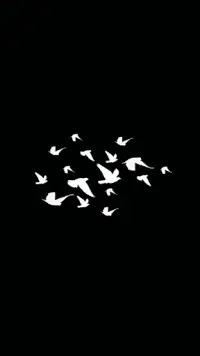 Black Wallpaper APK Download 2023 - Free - 9Apps Black Wallpaper APK Download 2023 - Free - 9Apps