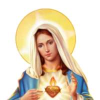 Virgen María & Jesús Stickers para Whatsapp 😍