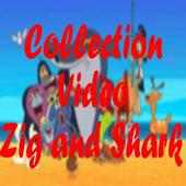 Zig and Sharko Video Collection