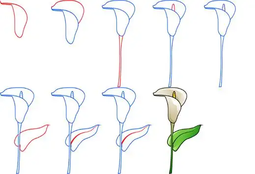 comment dessiner une fleur
