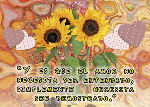 Descarga de la aplicación Frases de amor con girasoles 2023 - Gratis - 9Apps