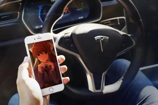 Tesla tinder date