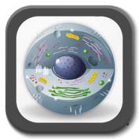 Biology - Lectures on 9Apps