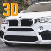 X6 Driving BMW Simulator