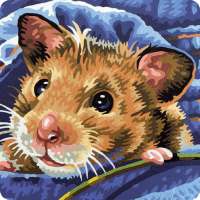 Puzzles pour animaux de compagnie de hamster