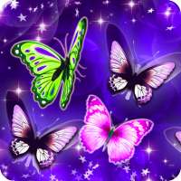 Beautiful Butterfly Wallpapers HD