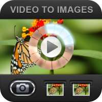 Video to Images