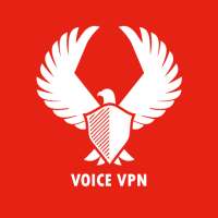 Voice VPN