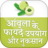 amla ke fayde ~ Benefits of Amla on 9Apps