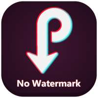 Video Downloader for TikTok No Watermark ssstiktok