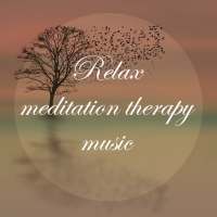 Relax Meditation Therapy Music - Chill and Sleep on 9Apps