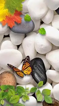 Téléchargement de l'application Nature Wallpaper (4K Ultra HD) 2023 - Gratuit - 9Apps Téléchargement de l'application Nature Wallpaper (4K Ultra HD) 2023 - Gratuit - 9Apps